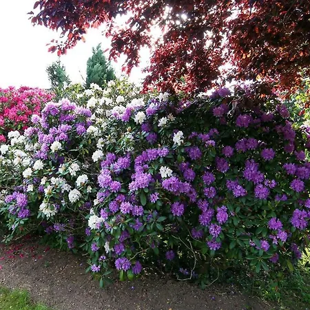 Feriendomizil Mit Garten شقة